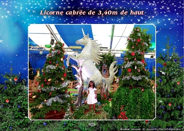 Forêt du Père Noël (047) Licorne